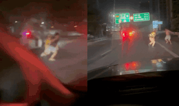 Hà Nội: Tài xế xe quá tải lao vào ô tô CSGT, phụ xe ôm cảnh sát, nhảy rào bỏ trốn