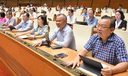Quốc hội 'chốt': Nước trái cây, nước dừa, sản phẩm làm từ sữa không phải chịu thuế tiêu thụ đặc biệt