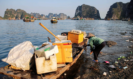 D&#249;ng tr&#237; tuệ nh&#226;n tạo &#39;chỉ điểm&#39; v&#249;ng &#244; nhiễm ở Vịnh Hạ Long