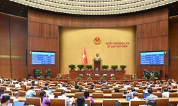 Luật Nh&#224; gi&#225;o ch&#237;nh thức được Quốc hội th&#244;ng qua, kh&#244;ng cấm gi&#225;o vi&#234;n dạy th&#234;m
