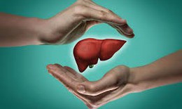 10 loại thực phẩm tốt cho gan, hỗ trợ phục hồi