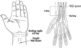 Xoa b&#243;p bấm huyệt gi&#250;p tăng sức đề kh&#225;ng m&#249;a nắng n&#243;ng