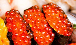 Vitamin E gi&#250;p đẹp da c&#243; nhiều ở thực phẩm n&#224;o?