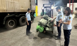 Hơn 12 tấn chân gà 'bốc mùi' không rõ nguồn gốc được phát hiện trong kho lạnh