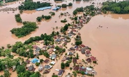 Thi&#234;n tai ng&#224;y c&#224;ng bất thường, cực đoan, Thủ tướng chỉ đạo tăng cường ph&#242;ng, chống