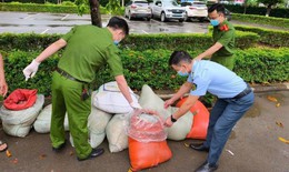 Phát hiện gần 1 tấn nội tạng động vật trong tình trạng phân hủy trên đường vận chuyển về Hà Nội tiêu thụ