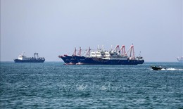 EU cảnh báo hậu quả 'cực kỳ nguy hiểm' nếu Eo biển Hormuz bị đóng cửa