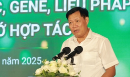 Thứ trưởng Bộ Y tế: Liệu ph&#225;p miễn dịch, gene, tế b&#224;o gốc đang mang lại những hy vọng lớn cho người bệnh