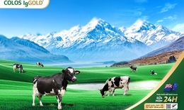 Bổ sung dinh dưỡng đ&#250;ng gi&#250;p tăng cường sức khỏe