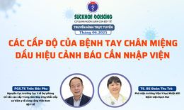 Truyền h&#236;nh trực tuyến: C&#225;c cấp độ của bệnh tay ch&#226;n miệng – dấu hiệu cảnh b&#225;o cần nhập viện