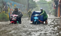 Miền Bắc tiếp tục mưa d&#244;ng, cục bộ c&#243; nơi mưa rất lớn