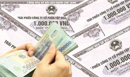 Tập đoàn Hạ tầng Giáo dục mất cân đối dòng tiền