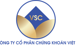 Công ty Cổ phần Chứng khoán Việt dính hàng loạt sai phạm