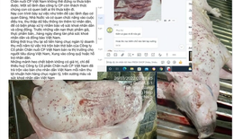 Chuyên gia hướng dẫn cách nhận biết thịt lợn sạch, an toàn