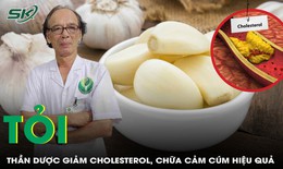 Tỏi - 'Thần dược' tự nhiên giúp giảm cholesterol, cảm cúm hiệu quả