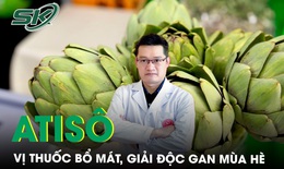Atis&#244; vị thuốc bổ l&#224;nh t&#237;nh, giải độc gan m&#249;a h&#232;