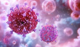 Đột phá mới trong điều trị HIV khiến các nhà nghiên cứu bất ngờ