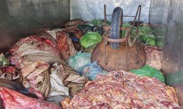 T&#224;i xế li&#234;n tiếp bị bắt v&#236; chở h&#224;ng tấn nội tạng động vật kh&#244;ng nguồn gốc
