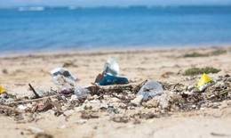Ngày Môi trường thế giới năm 2025: Tài nguyên đa dạng sinh học biển có thể biến mất nếu không hạn chế rác thải nhựa