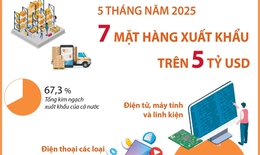 5 tháng năm 2025: 7 mặt hàng xuất khẩu trên 5 tỷ USD