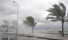 R&#227;nh &#225;p thấp tr&#234;n biển mạnh l&#234;n, nhiều khu vực cao điểm mưa d&#244;ng