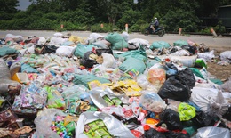 Xử l&#253; ‘n&#250;i’ b&#225;nh kẹo bị vứt bỏ tại b&#227;i r&#225;c x&#227; La Ph&#249; thế n&#224;o?