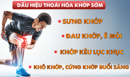 Tiếp cận sớm trong xử lý thoái hóa khớp sớm - Liệu pháp miễn dịch dung nạp đường uống với collagen Collavant® n2