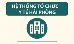 To&#224;n cảnh hệ thống y tế c&#244;ng lập ở Hải Ph&#242;ng sau hợp nhất