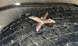 H&#224; Nội: Ch&#244;ng 5 ngạnh tự chế ‘bẫy’ &#244; t&#244; ở khu chung cư Tecco