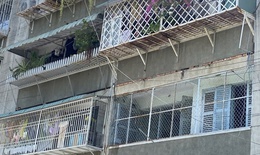 TPHCM: Xử lý dứt điểm 'chuồng cọp', đình chỉ, xử lý nghiêm nếu vi phạm