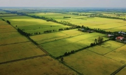 Đất nông nghiệp hết hạn có bị Nhà nước thu hồi không?