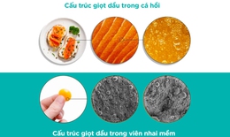 ConCordix&#169; - C&#244;ng nghệ tăng hấp thu DHA/EPA hiệu quả từ Na Uy