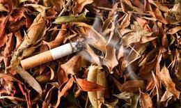Thuốc l&#225;: Nỗi &#225;m ảnh k&#233;p về sức khỏe con người v&#224; m&#244;i trường