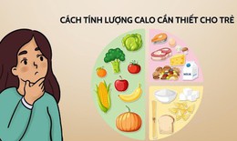 Hướng dẫn c&#225;ch t&#237;nh lượng calo cần thiết cho trẻ dậy th&#236;