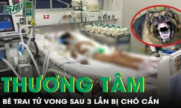 Thương tâm: Bị chó nhà cắn 3 lần nhưng không tiêm phòng, bé trai 13 tuổi không qua khỏi 
