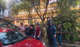 H&#224; Nội nguy cơ cao t&#225;i diễn d&#244;ng lốc v&#224;o chiều nay