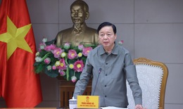 Ứng phó với bão số 3: Phó Thủ tướng chỉ đạo các bộ, ngành, địa phương duy trì chế độ trực 24/24h