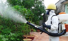 Nguy cơ b&#249;ng dịch sốt xuất huyết cao, Thủ tướng chỉ đạo loạt biện ph&#225;p ph&#242;ng, chống
