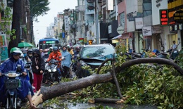 TPHCM khẩn cấp ứng phó bão số 3, yêu cầu trực 24/24