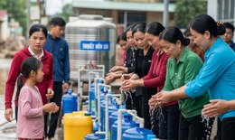 Cảnh báo bệnh thương hàn bùng phát sau mưa lũ