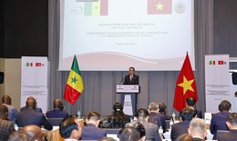 Chủ tịch Quốc hội Trần Thanh Mẫn dự tọa đ&#224;m ch&#237;nh s&#225;ch th&#250;c đẩy hợp t&#225;c Việt Nam - Senegal