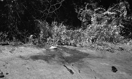 Thiếu niên 14 tuổi bị bạn đâm tử vong