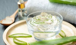C&#225;ch sử dụng l&#244; hội (nha đam) để c&#243; l&#224;n da s&#225;ng v&#224; m&#225;i t&#243;c khỏe mạnh