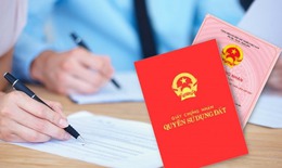 Các trường hợp bị thu hồi sổ đỏ từ tháng 7