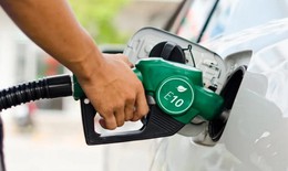 Xăng sinh học sẽ thay thế hoàn toàn xăng khoáng trên thị trường