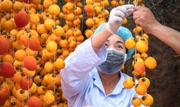 Lâm Đồng là nguồn cung rau xanh, thịt và thủy sản an toàn chủ lực cho TPHCM