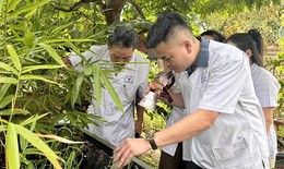 Thanh Hóa: Giám sát chặt chẽ các bệnh truyền nhiễm trong mùa hè