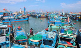 Mất tiền triệu mỗi lần cập cảng, ngư dân Khánh Hòa chờ được 'giải cứu'