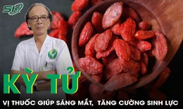Kỳ tử: Vị thuốc bổ can thận, s&#225;ng mắt, tăng cường sinh lực
