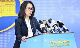 Họp b&#225;o thường kỳ Bộ Ngoại giao: Cụ thể h&#243;a nội dung thảo luận của L&#227;nh đạo Cấp cao hai nước Việt Nam - Hoa Kỳ